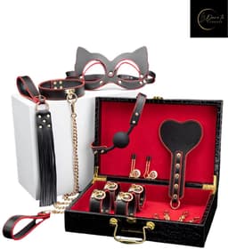 Dare to Undress – Fifty Shades of Grey – Luxe 8-delige BDSM Set met Opbergkoffer – Premium – BDSM Bondagesets - Valentijn Cadeau - Handboeien, Halsband, Masker, Gagbal & Zweep - Sex Toys voor Koppels - Seksspeeltjes voor mannen en vrouwen - Kinky — thumbnail 6