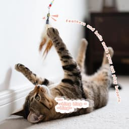 2 stuks interactieve kattenstok, kleurrijk kattenspeelgoed met bel en veren, kattentoverstaf voor kittens, katten, binnen en buiten, spelen, training (meerkleurig — thumbnail 2