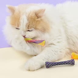 Verenspeelgoed voor katten - 20 kleurrijke interactieve grappige en gezonde spelletjes — thumbnail 5