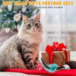 8 Pcs Speelgoedset voor Katten, Interactief Speelgoed voor Katten, Binnenspeelgoed voor Katten, 3 Verenspeeltjes, 2 Realistische Vogels, met Sterke Zuignappen en Kattenhengel met Veren — thumbnail 5