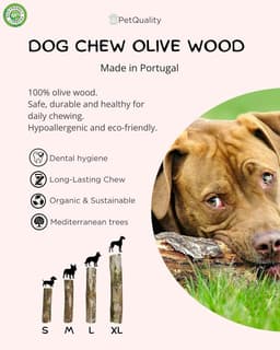 Dog toy for chewing, bite toy, stick – Olive wood – PetQuality (medium) - ShopVlot — thumbnail 4