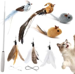 Kattenhengelspeelgoedset, uittrekbare kattenstaaf met 7 reservekoppen (2 vogels, 2 muizen, 3 veren), kattenspeelgoed veer, interactief kattenspeelgoed voor katten en kittens — thumbnail 2