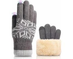 Handschoenen met fleece voering Thermische winterhandschoenen Heren dik warm Touchscreen handschoenen Stretched dikke gebreide handschoenen Thermische handschoenen Wintercadeaus Grijs
