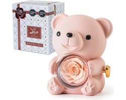 Romantische teddybeer met geconserveerde roos en hartvormige halsketting - Perfect cadeau voor Valentijnsdag, Moederdag en bruiloften