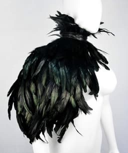 Zwarte Veren Stola Dames – Fetish Feather Cape – Lingerie Styling – Luxe Kinky Look – Statement Lingerie Accessoire – Erotisch Clubwear Styling – Boudoir, Kinky & Burlesque Events – Wasteland, B.I.T.C.H. – One Size – Dare to Undress — thumbnail 13