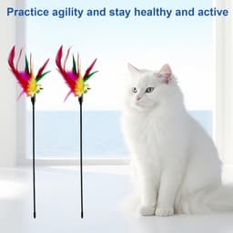 10 stuks kattenhengel, kattenspeelgoed, speelgoed voor katten, kattenhengel, speelgoed, kleurrijke kattenspeelgoed, veren, speelgoed voor katten met bel, voor katten — thumbnail 5