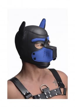 Neoprene Puppy Hood - Black and Blue — thumbnail 5