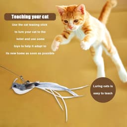 Interactief kattenspeelgoed, kattenspeelgoed, interactief kattenspel met zuignap en veren, hengel, kat, toverstaf met kattenklokken voor het trainen van katten en kittens (B) — thumbnail 5