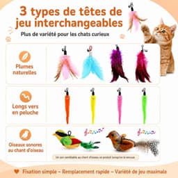 14 stuks kattenhengels met 2 zuignappen, kattenspeelgoed, zelfbezigheid met vogel, interactief kattenspeelgoed met veren, worm, kattenhengel, vervangende veren met klokken — thumbnail 2