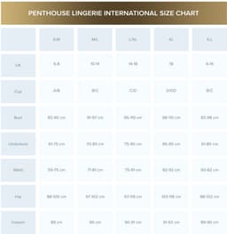 Penthouse Lingerie Teaser - Erotische Rollenspel Kleding - Maat L/XL - Zwart — thumbnail 4