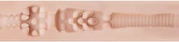 Fleshlight Girls - Stoya Destroya — thumbnail 14