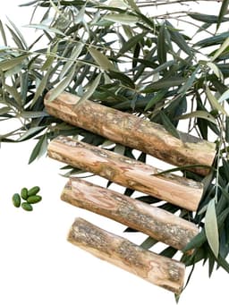 Dog toy for chewing, bite toy, stick – Olive wood – PetQuality (Small) - ShopVlot — thumbnail 1