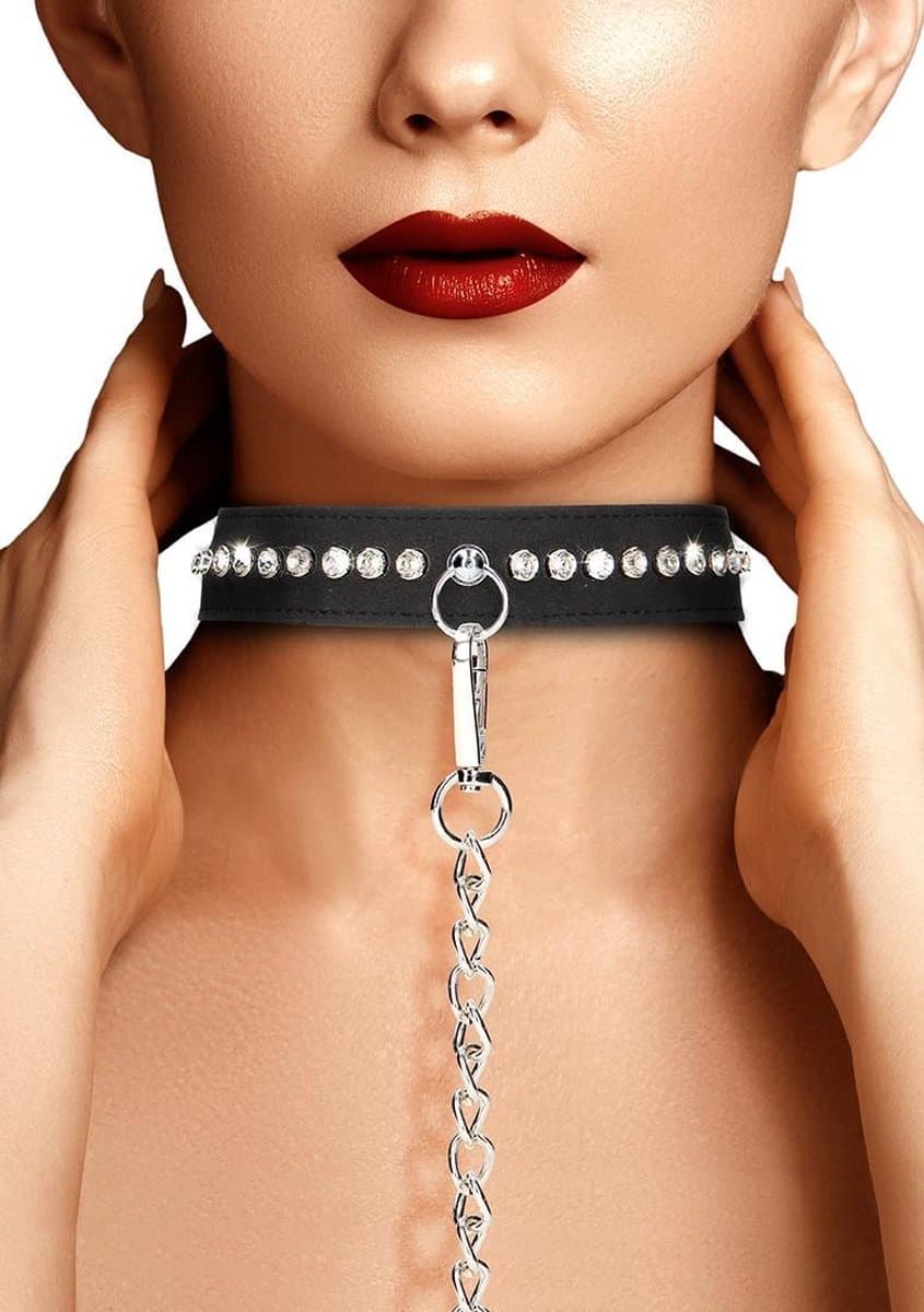 Diamond Studded Collar with Leash — afbeelding 1