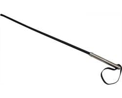 The Leathermans' Cane