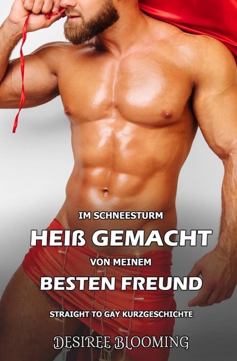Romantische Gay Kurzgeschichte: In der Berghut eingeschneit erleben — afbeelding 1