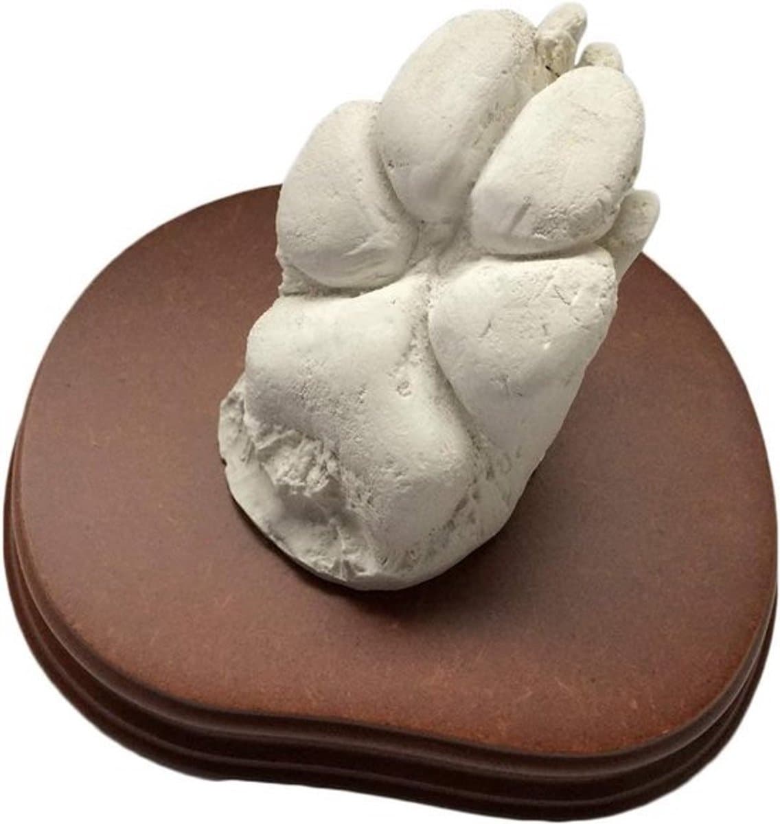 Handen Sculptuur Set - Liefdesbeeld - Romantisch Cadeau - Inclusief Houten Sokkel - 20 x 18 cm — afbeelding 1