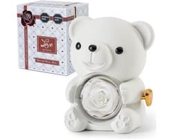 Romantische teddybeer met geconserveerde roos en hartvormige halsketting - Perfect cadeau voor Valentijnsdag, Moederdag en bruiloften