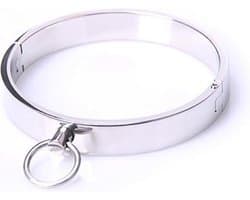 RVS Collar met Inbus Sluiting en O-ring - large