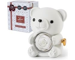 Romantische teddybeer met geconserveerde roos en hartvormige halsketting - Perfect cadeau voor Valentijnsdag, Moederdag en bruiloften