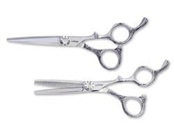 E-Kwip Chikara Set Zilver 5,5inch