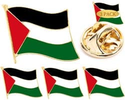 3 stuks Palestina Vlag Revers Pin Badge Nationale Country Vlag Knop Revers Pin