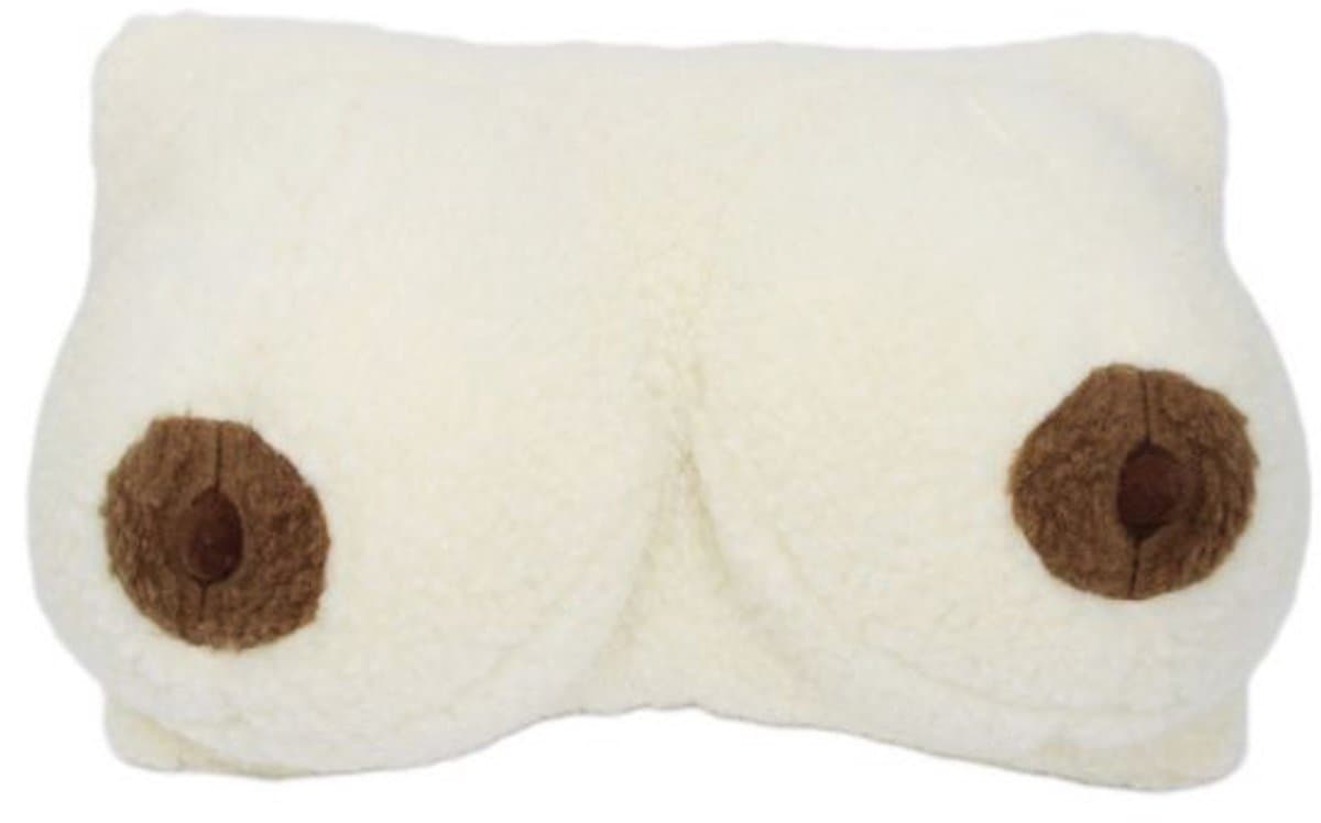 Kussen Borsten Cadeau Grappig Kussen 100% Merino Wol Fun artikel Vrijgezellenfeest Verjaardag – 42x22cm — afbeelding 1