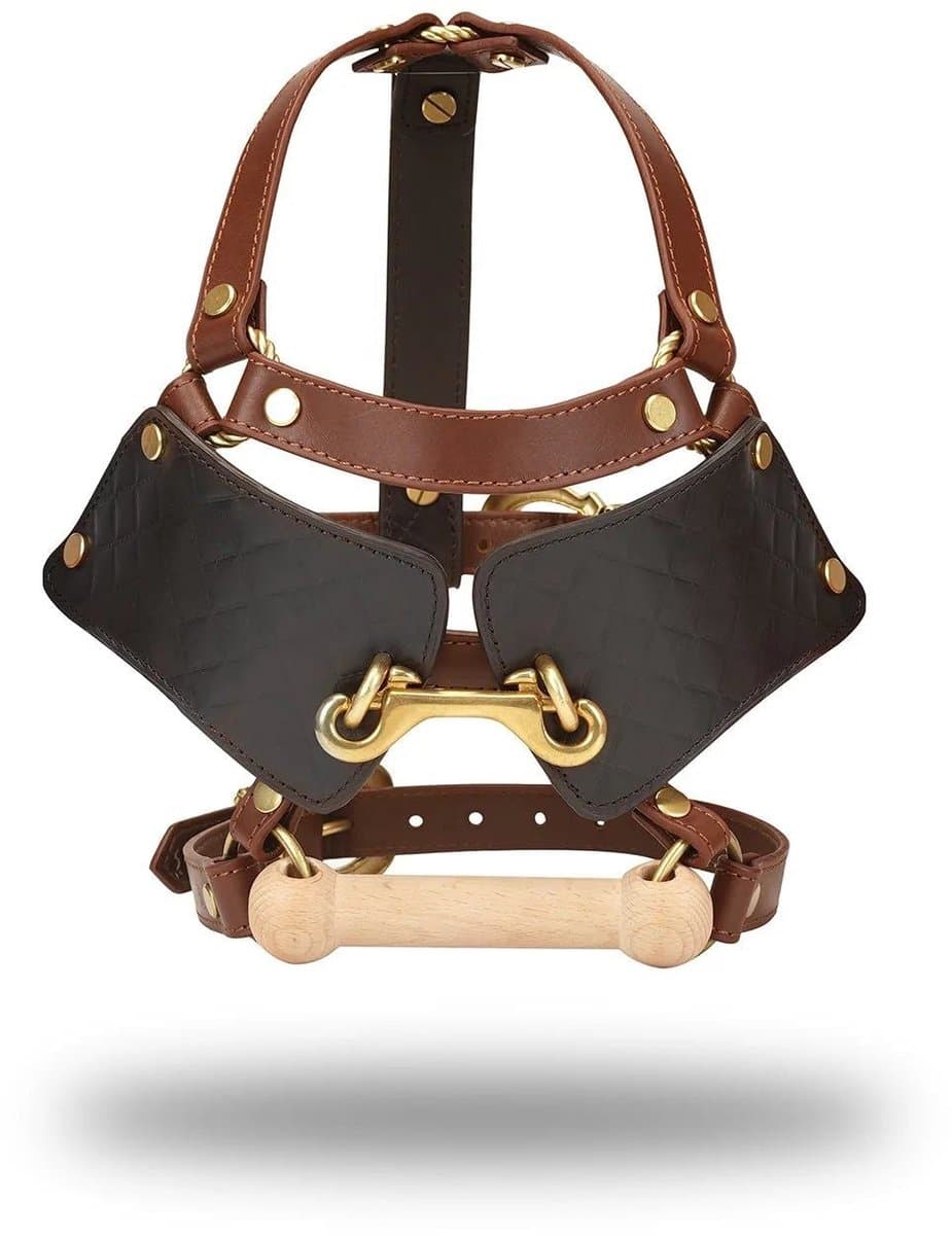 Liebe Seele - The Equestrian Leather Blinder And gag - Paardenhoofdtooi Met bit gag — afbeelding 1