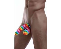 Heren String Regenboog Strepen - Mannen Pouch Underwear Gekleurd - Pride String voor Mannen - Elastische Heren Ondergoed - One Size - Feest Lingerie - La Nuita