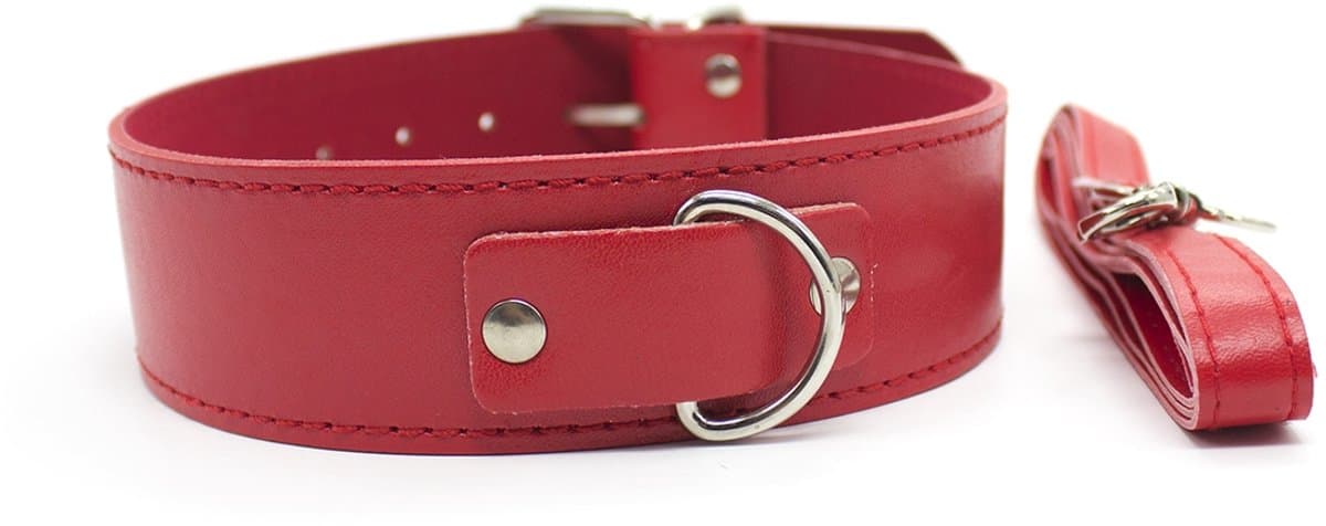 Smart Moves - Collar met Leiband - Kunstleer - Gouden Hardware - Rood — afbeelding 1