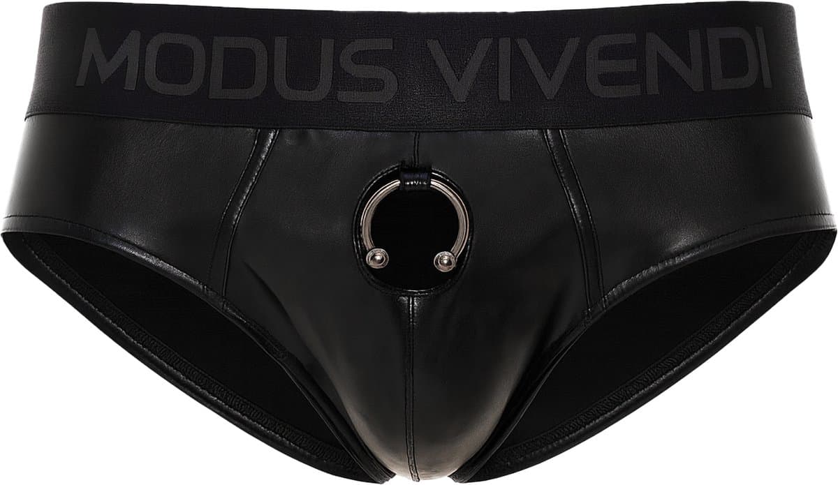 MODUS VIVENDI Prince Albert Classic Brief - MAAT L - Erotisch Heren Ondergoed - Slip voor Man - Sexy mannen Slip — afbeelding 1