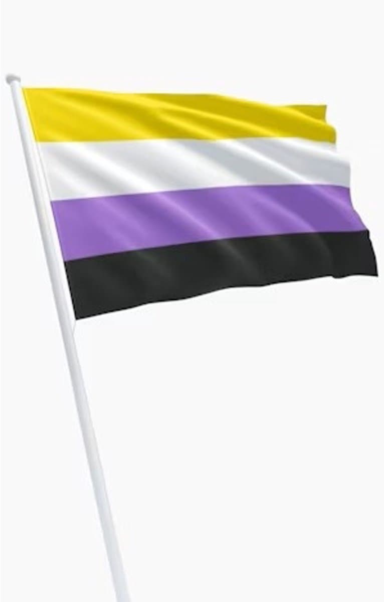 Non-binary flag 90 x 150 cm — afbeelding 1