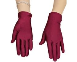 Rijhandschoenen met goede grip - Dunne IJszijde - Slijtvast - Waterdicht - Comfortabel - Geschikt voor training - Handschoenen