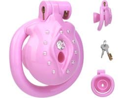 Cage met 4 Ringen en Verborgen Slot