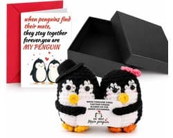 Pinguïn cadeau - handgehaakt figuur - met liefdeskaart - perfect voor geliefden - SnelShoppen