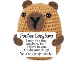 Hug Mutmacher Geschenk Capybara Haakdier, Positieve Geschenken, Emotionele Ondersteuning Dier Luiaard Alternatief, Afscheidsgeschenk Collega's