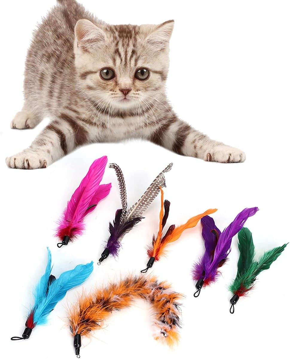 Feather Toy, Feather Toys voor Binnenkatten 7 Stks Pet Cat Teaser Dangler Rod Stick Stick Veervervanging Katten Katten Leveringen voor Alle Rassen en Soorten — afbeelding 1