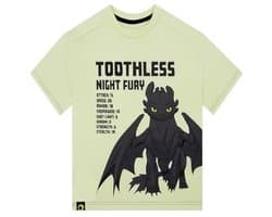 Draakjes T-shirt voor Jongens met Toothless | Katoenen Zomer T-shirt