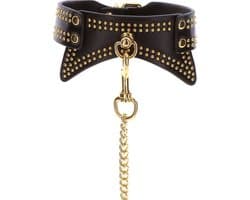 Studded Collar and Leash