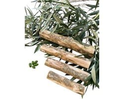 Dog toy for chewing, bite toy, stick – Olive wood – PetQuality (Small) - ShopVlot