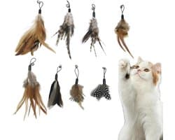 8 stuks vervanging van kattenspeelgoed, veilig en, perfect cadeau voor kattenliefhebbers